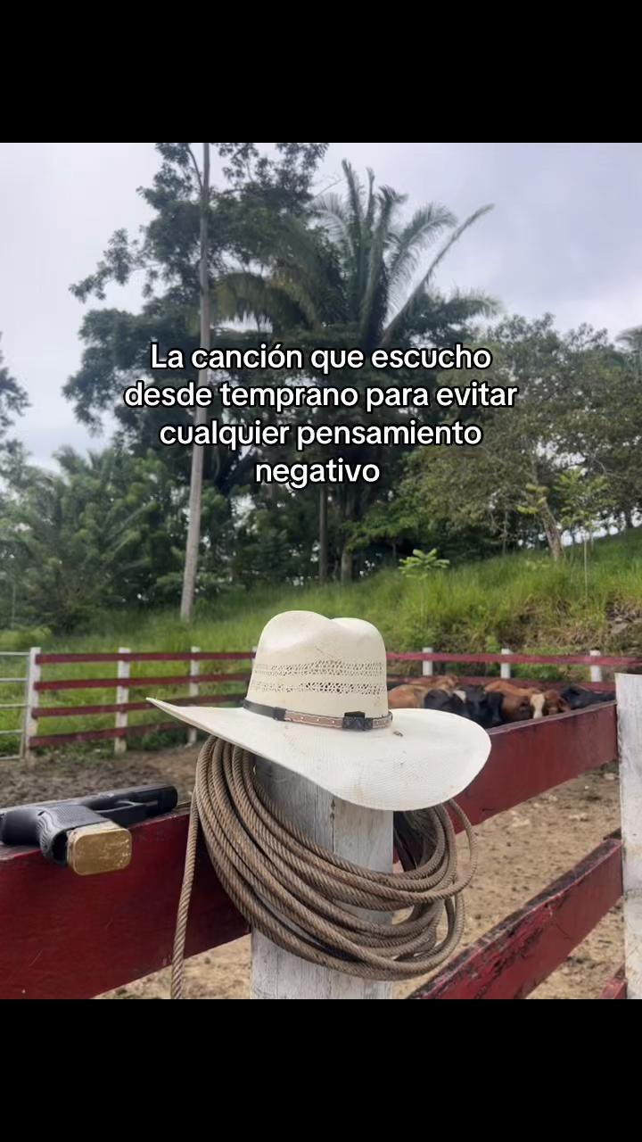 @ALVAREZ 🤠♥️