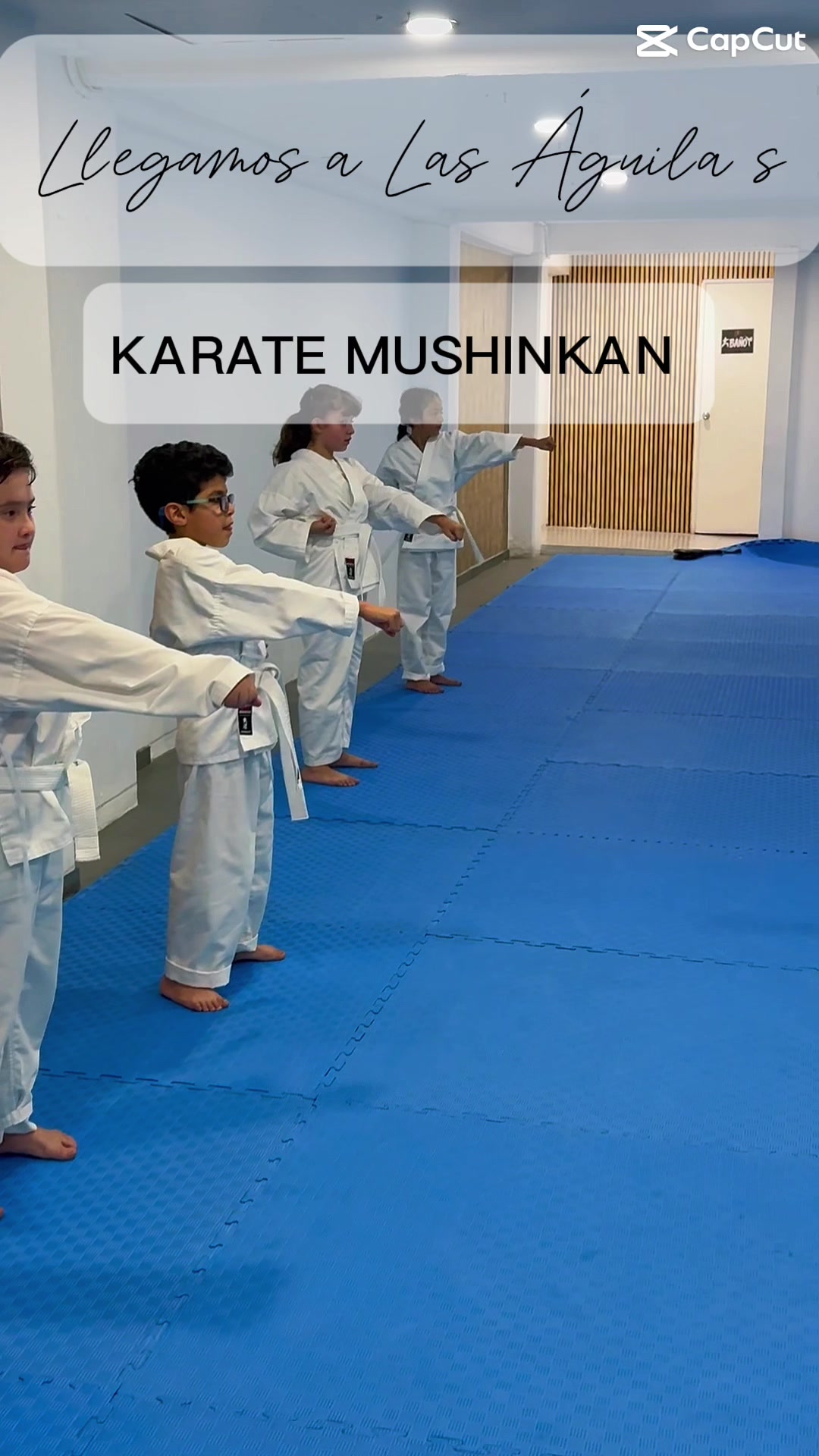 @Karate Mushinkan