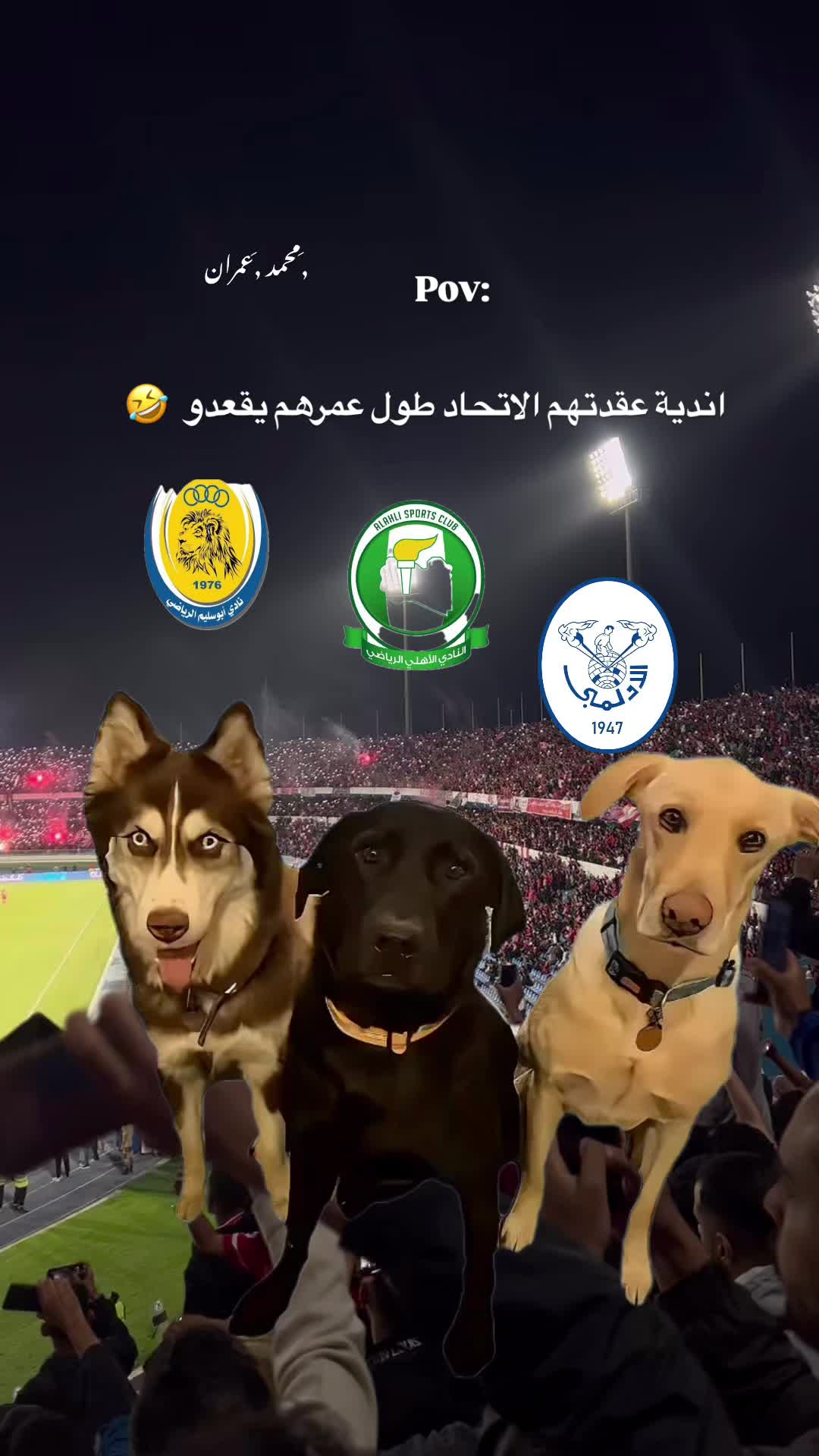 @﮼محمد ﮼عمران🇦🇹