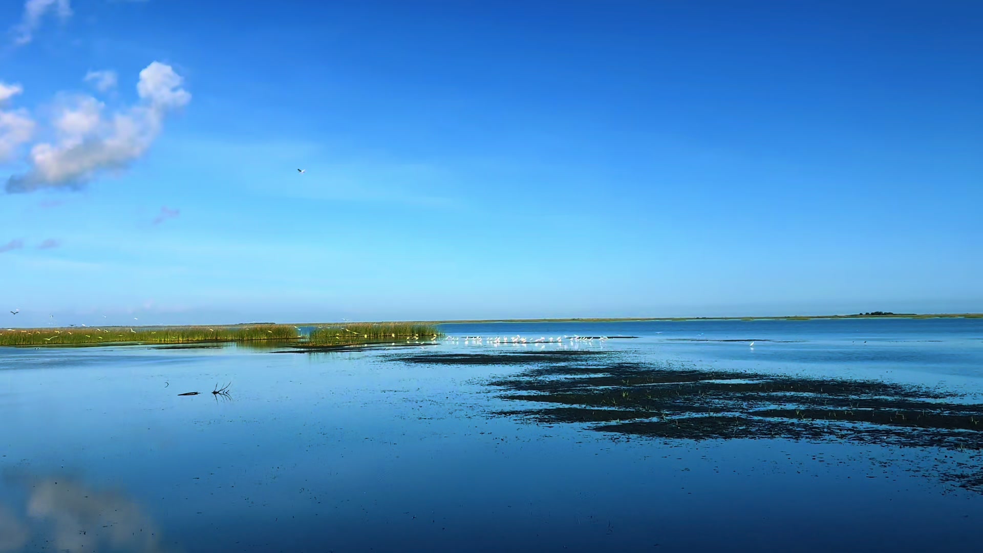 @Everglades National Park
