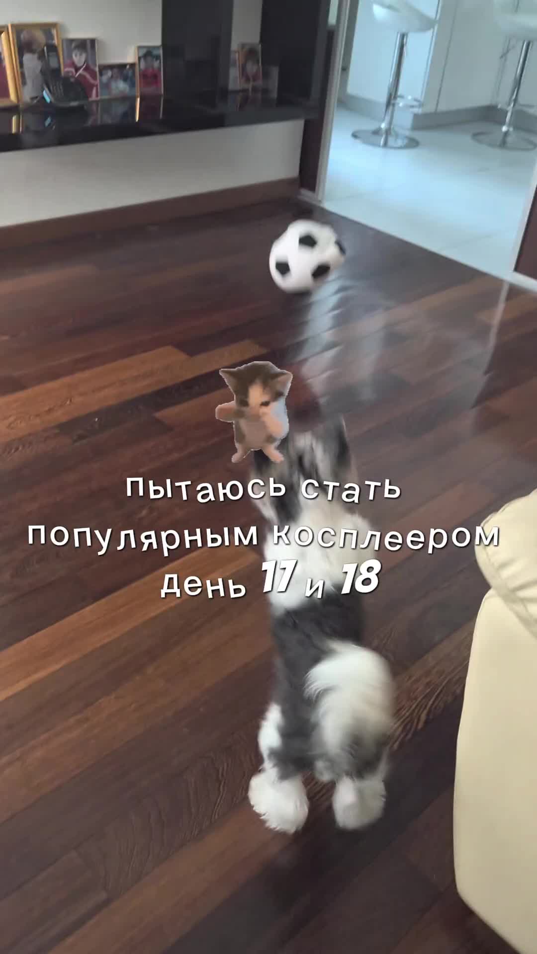 @L1_1ox (Лив лох) @