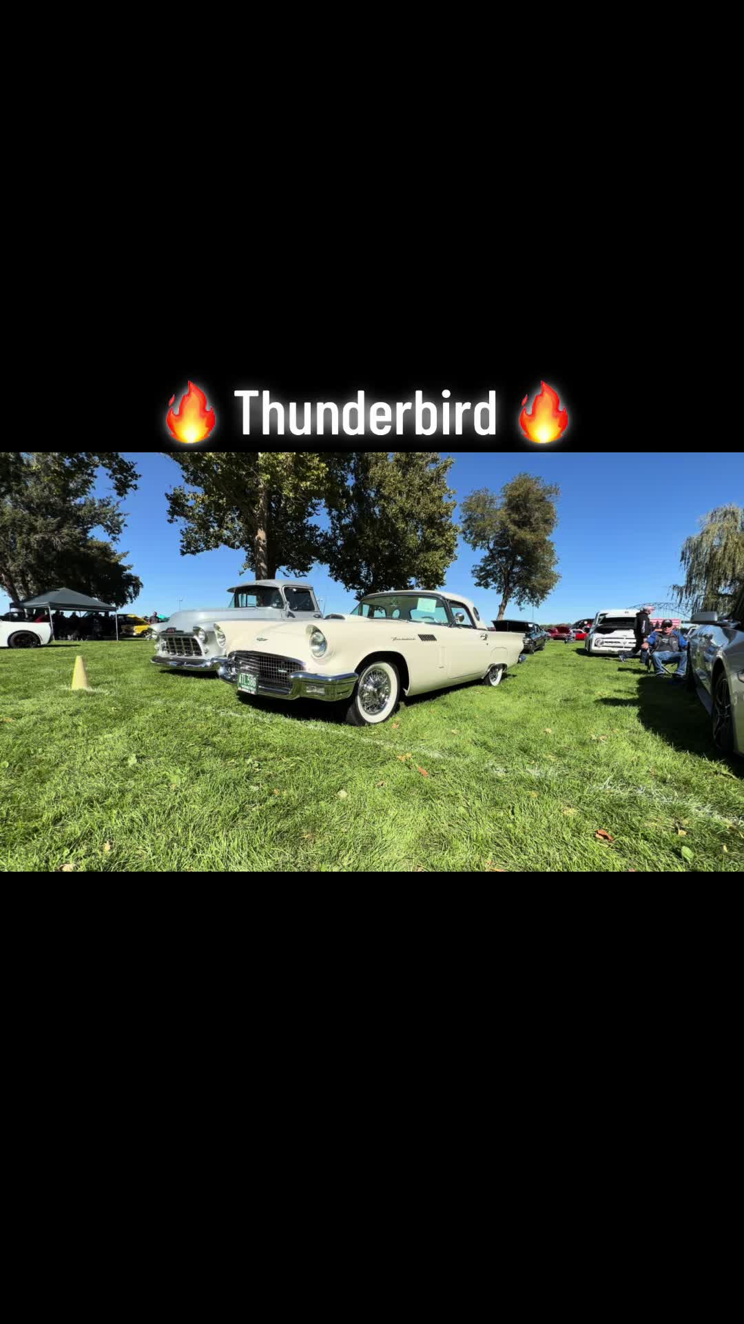 @Landandfreedom