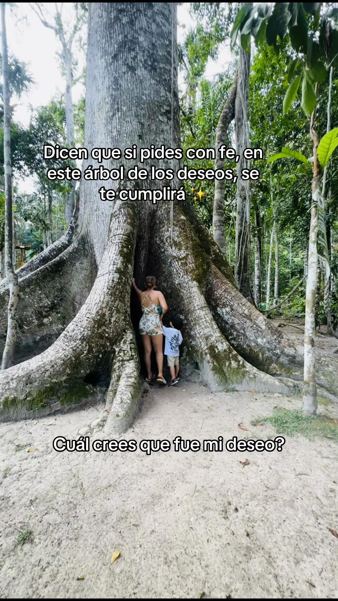 @MILAGROS MEJIA D