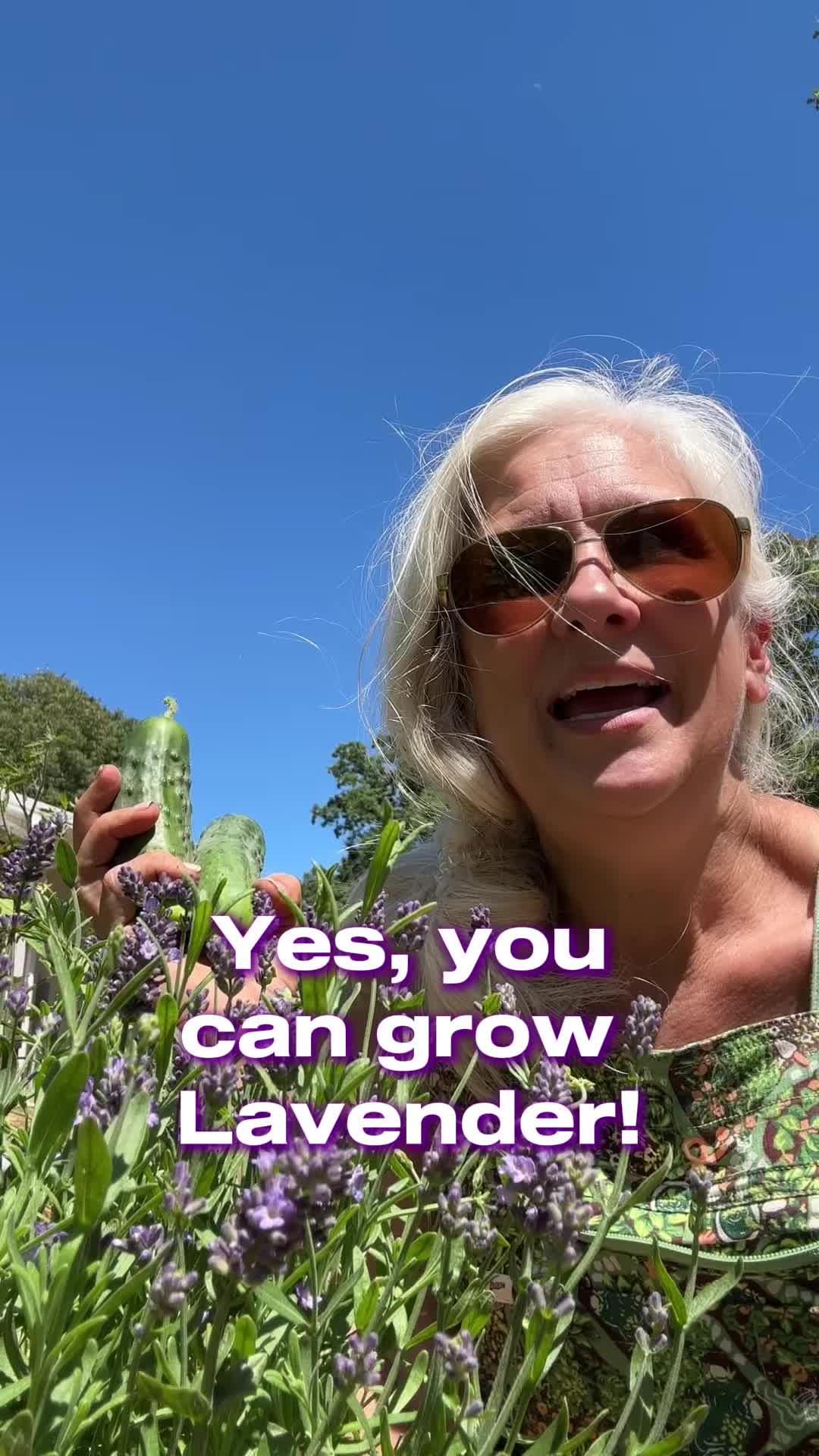 @Sweet BombDiggity Farms