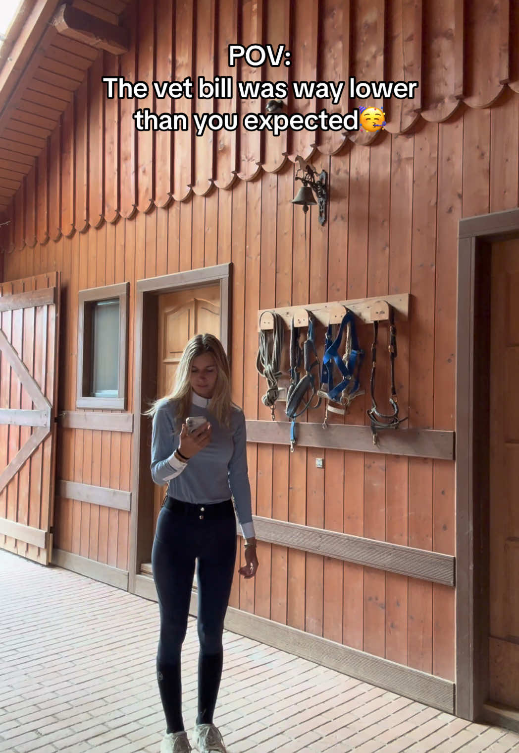 @Free Ride Equestrian