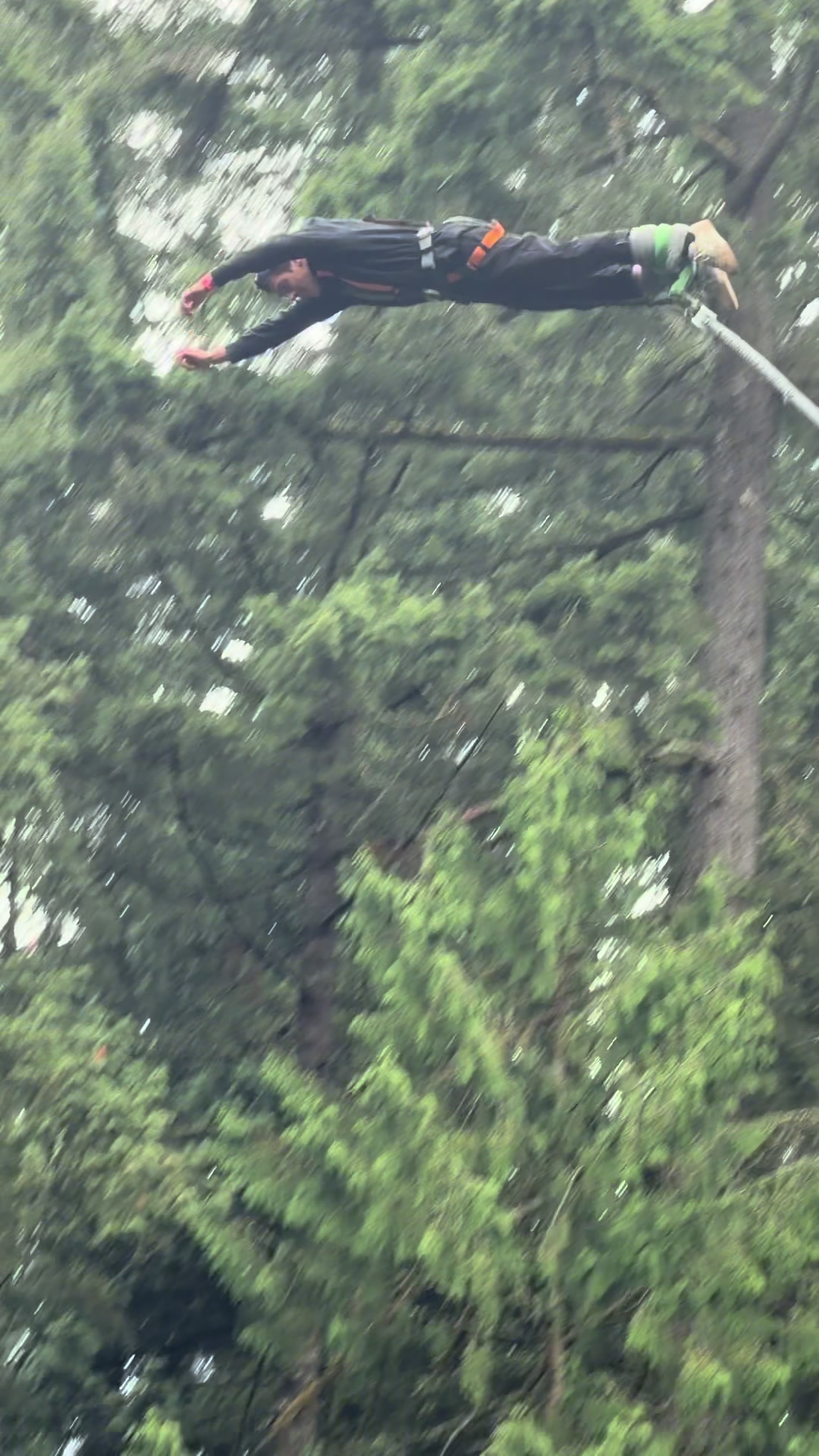 @Lj parra