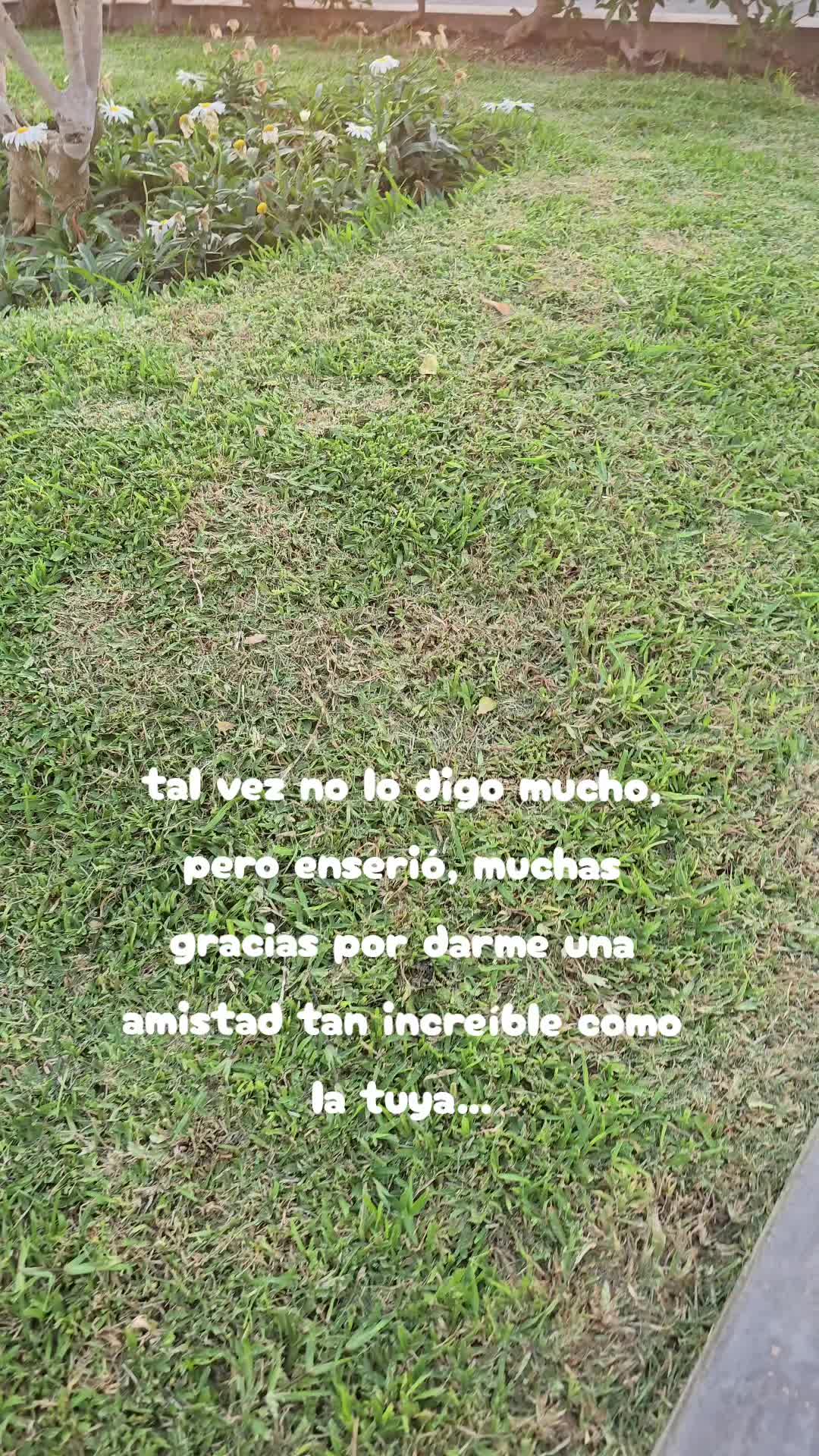@Jorge Luis Bustos