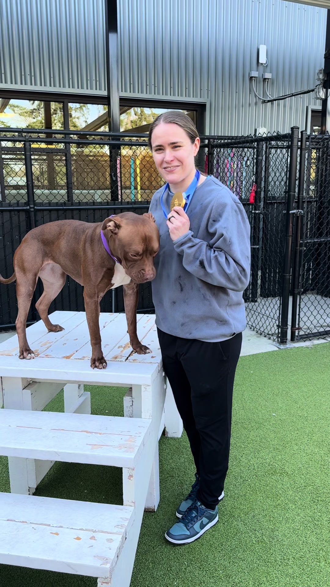 @Seattle Humane