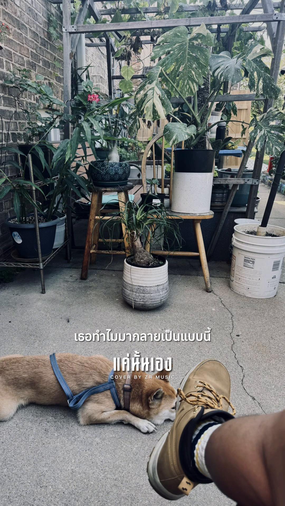 @𝕊ℙ𝕒_ 𝕄𝕦𝕤𝕚𝕔ℂ𝕝𝕦𝕓