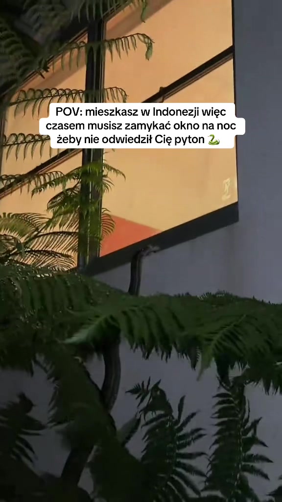 @co.mysli.maggie