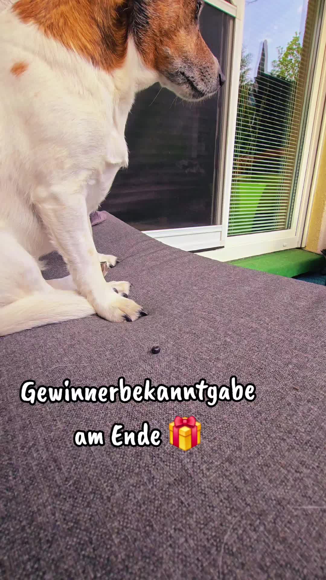 @Shari's wunderbare Welt