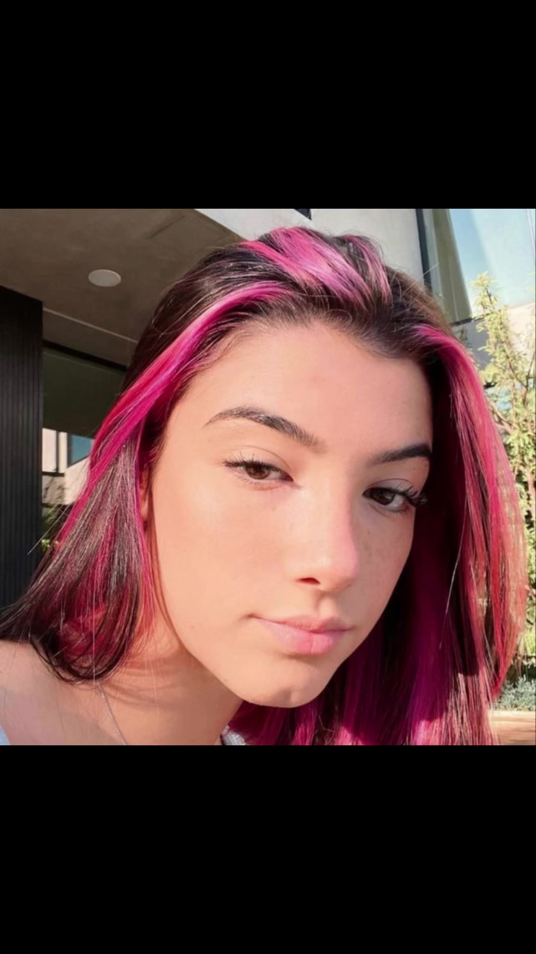 @userddis