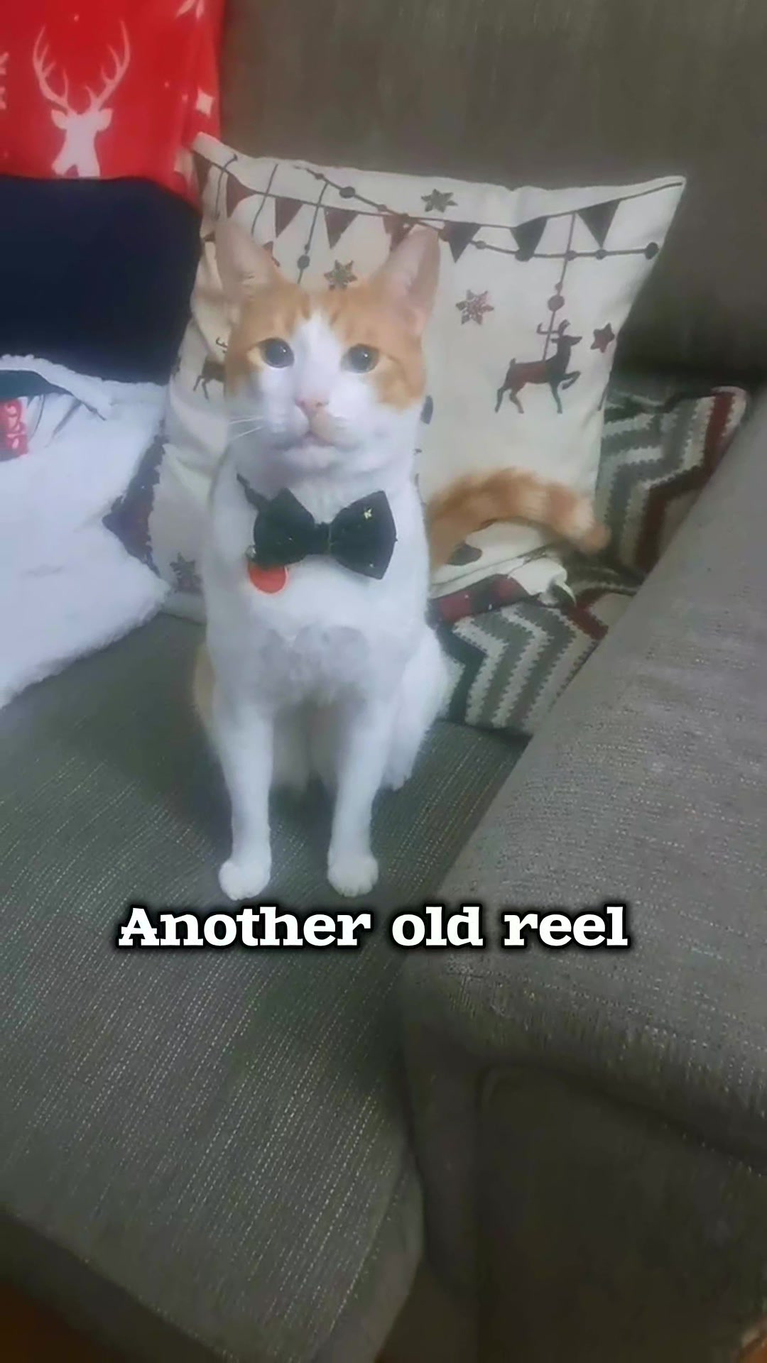@Candice & Weasley