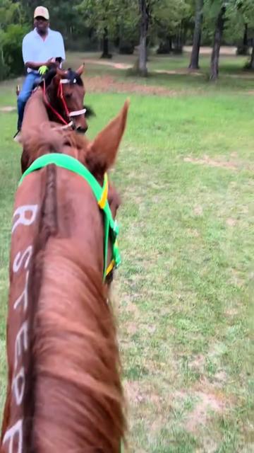 @Trailride Queen LMSW