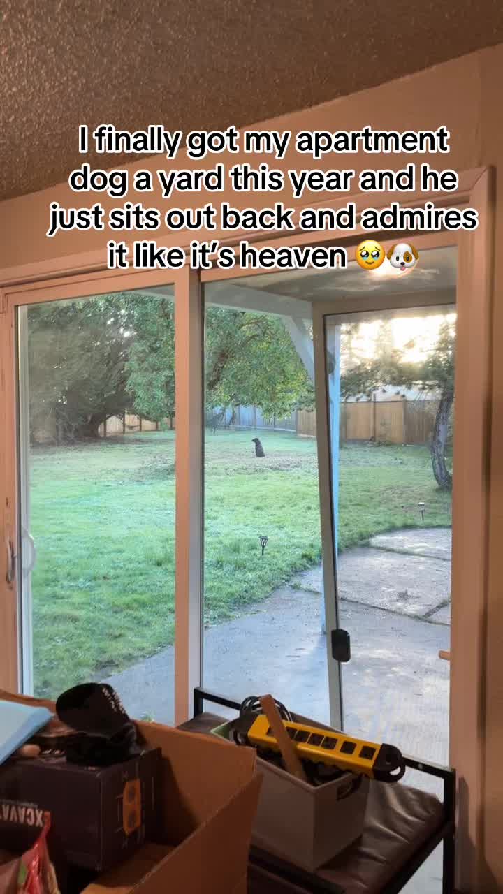 @kai_TheDogMother 🐶🐾
