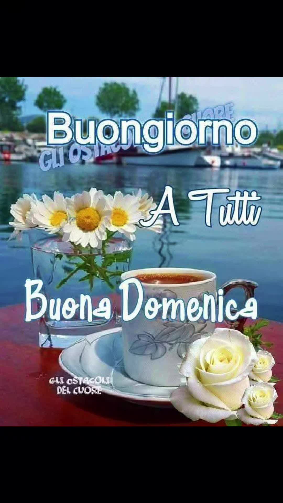 @🌞 Fede