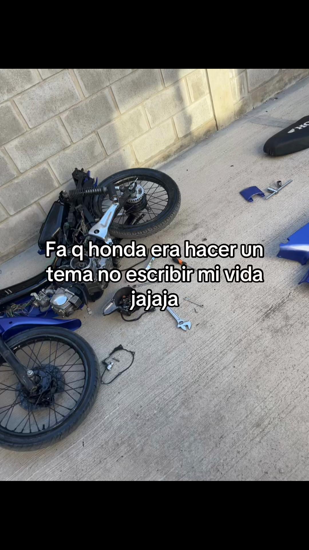 @𝖃𝖗𝖆𝖑𝖊𝖏𝖔
