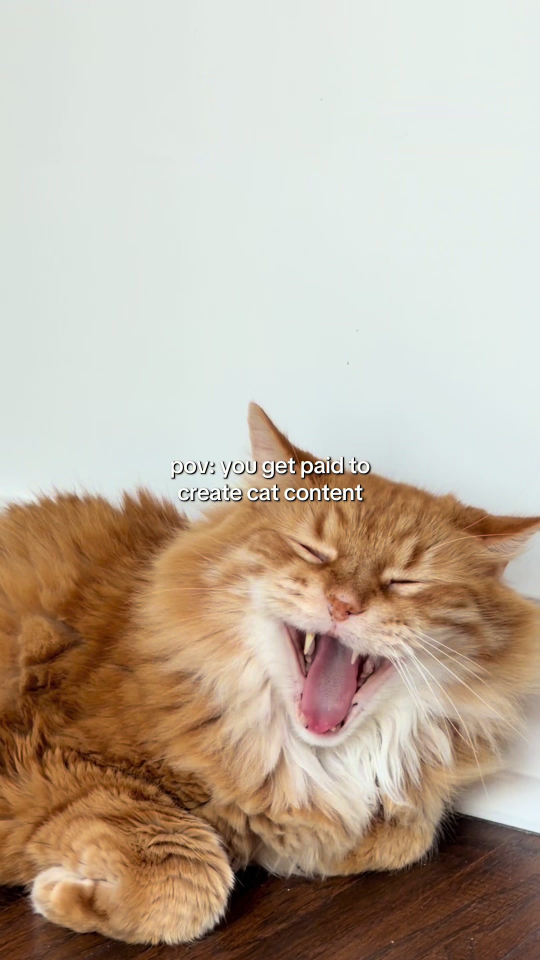 @Chris