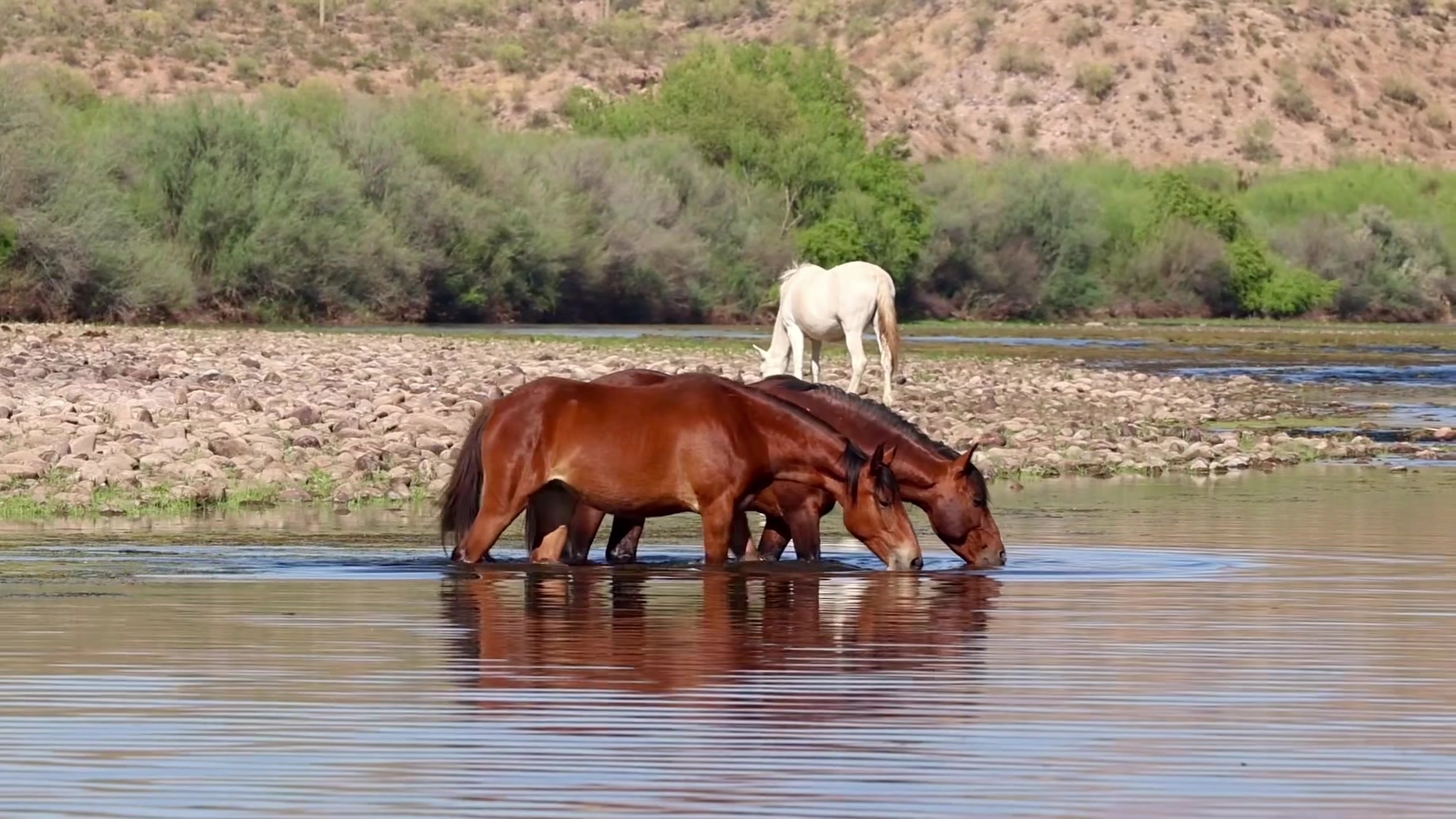 @ASMR Nature Love