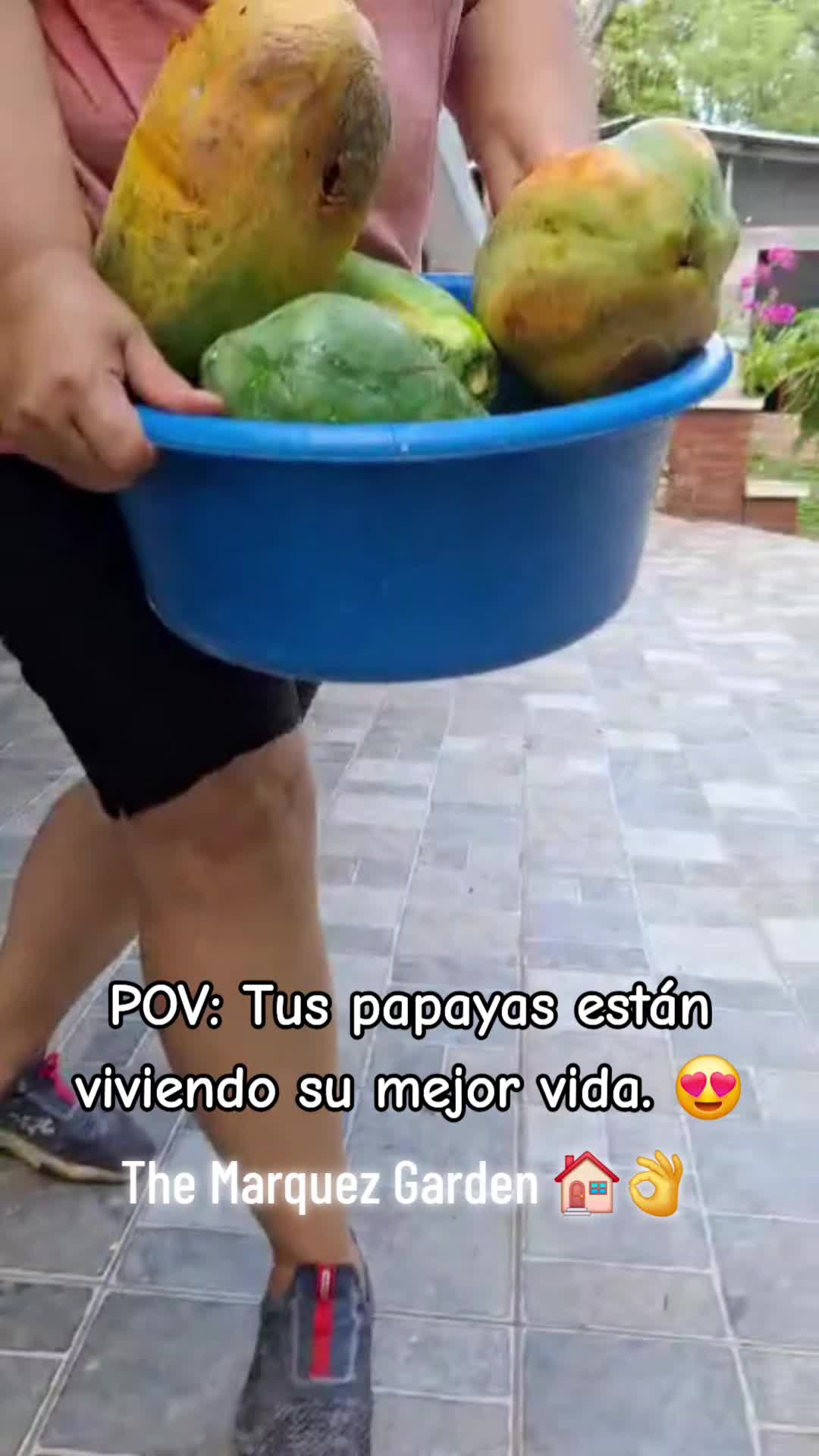 @Ria@taurus 😅
