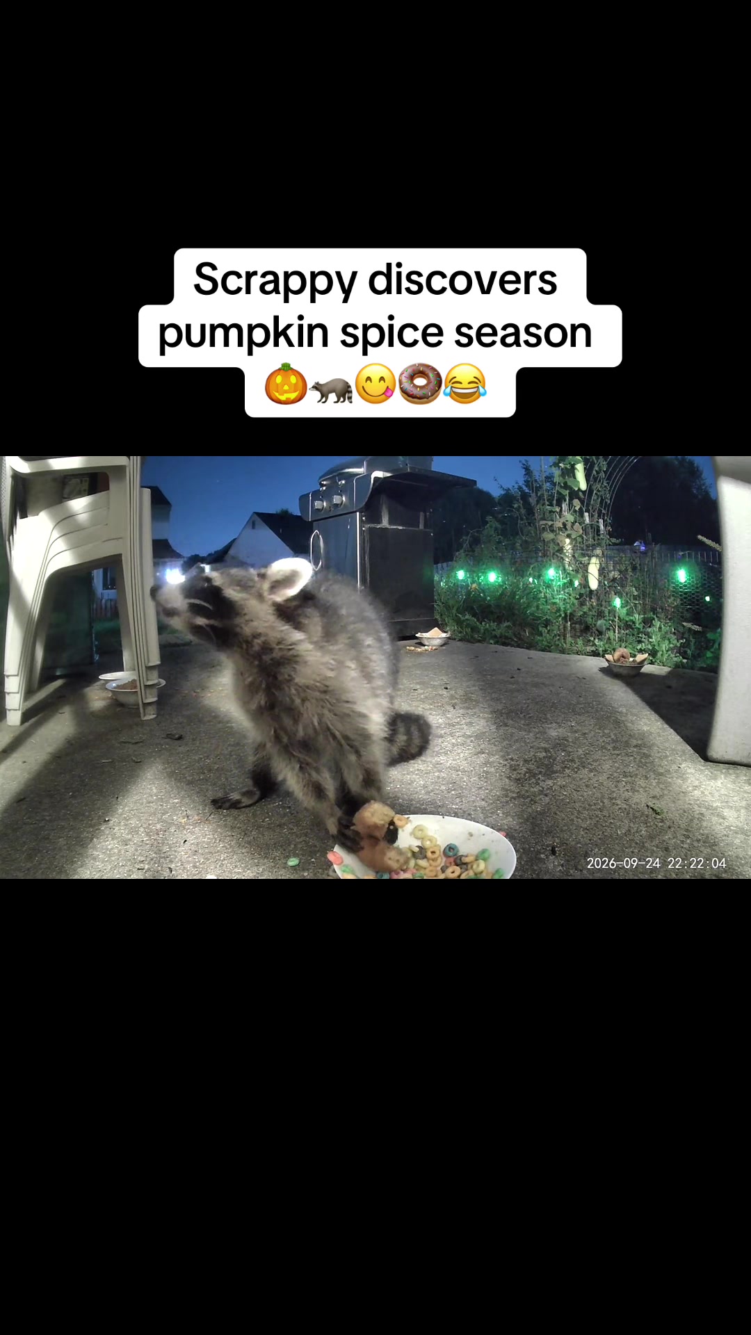 @ErinHessionWooton