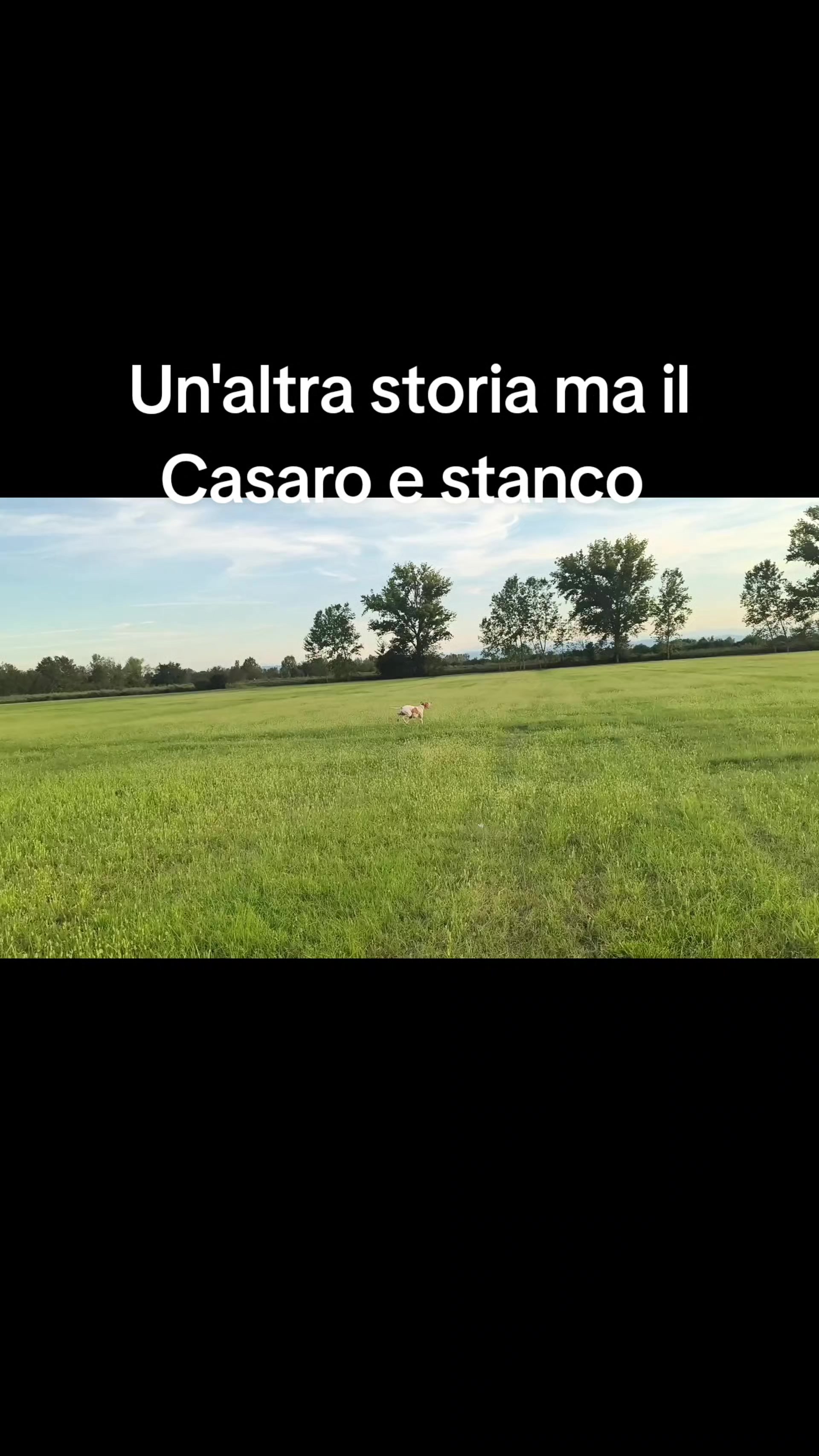 @antoniocasaroricc