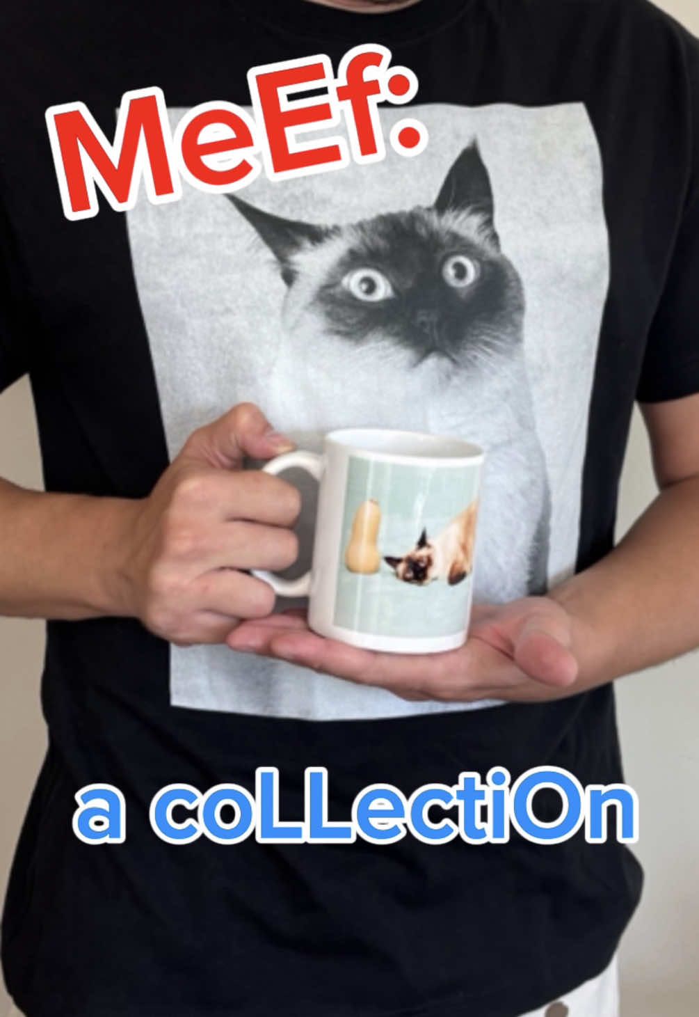 @Merv The Cat