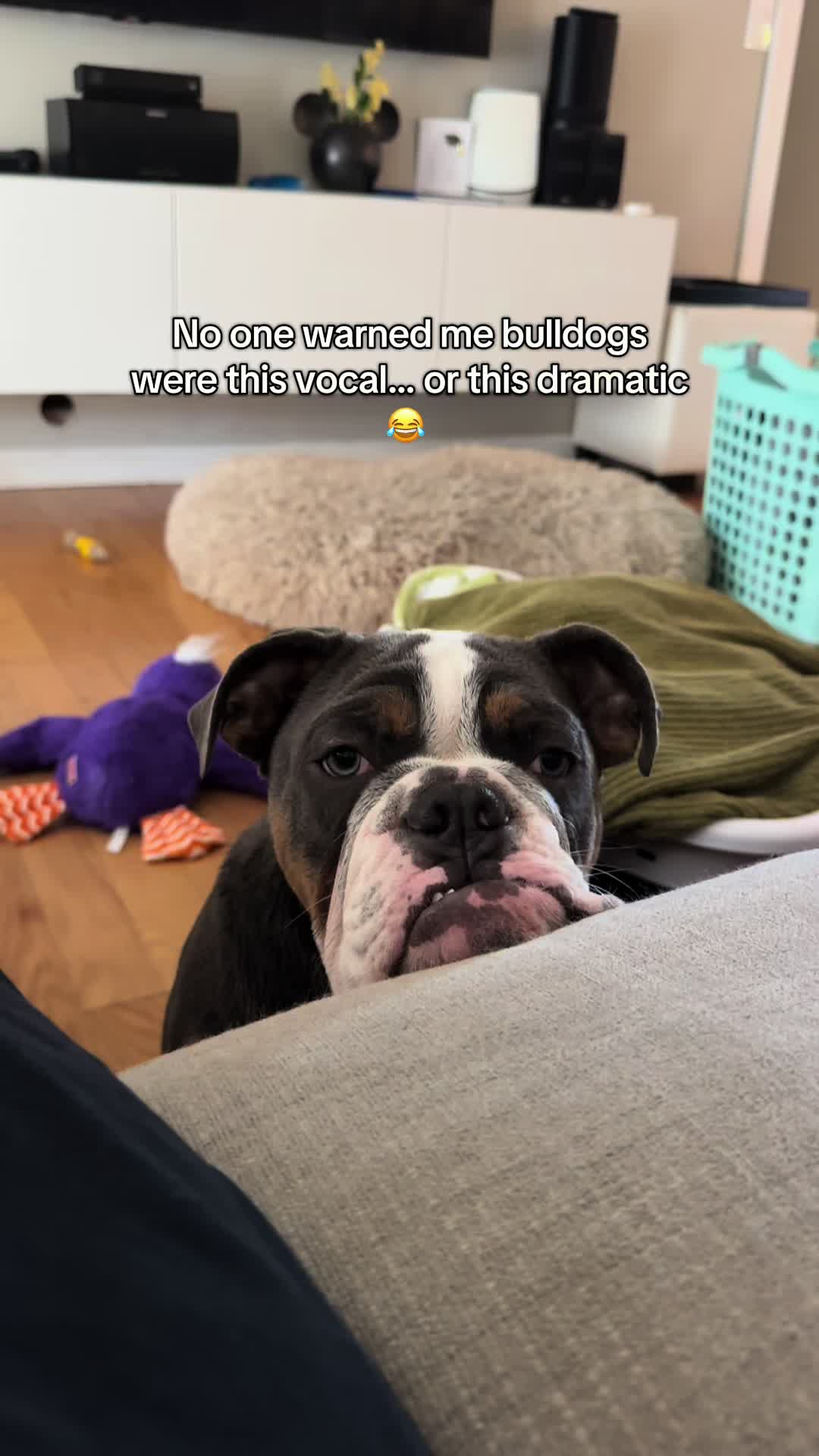 @michelle