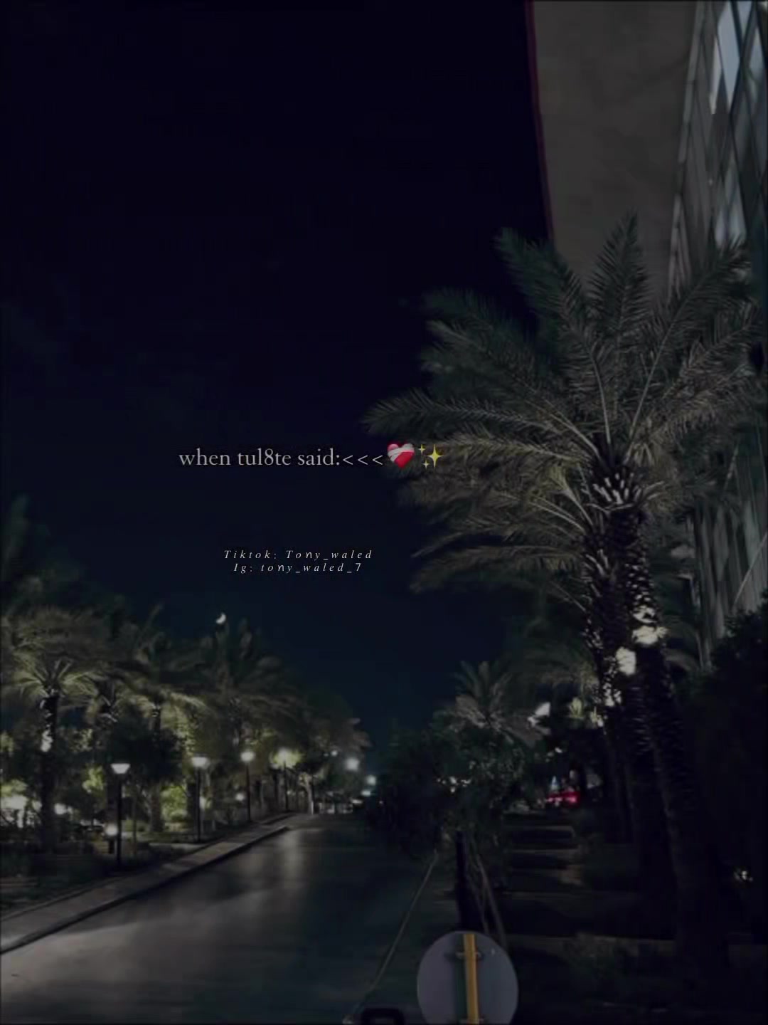 @𝙏𝙊𝙉𝙔_𝙒𝘼𝙇𝙀𝘿🦊