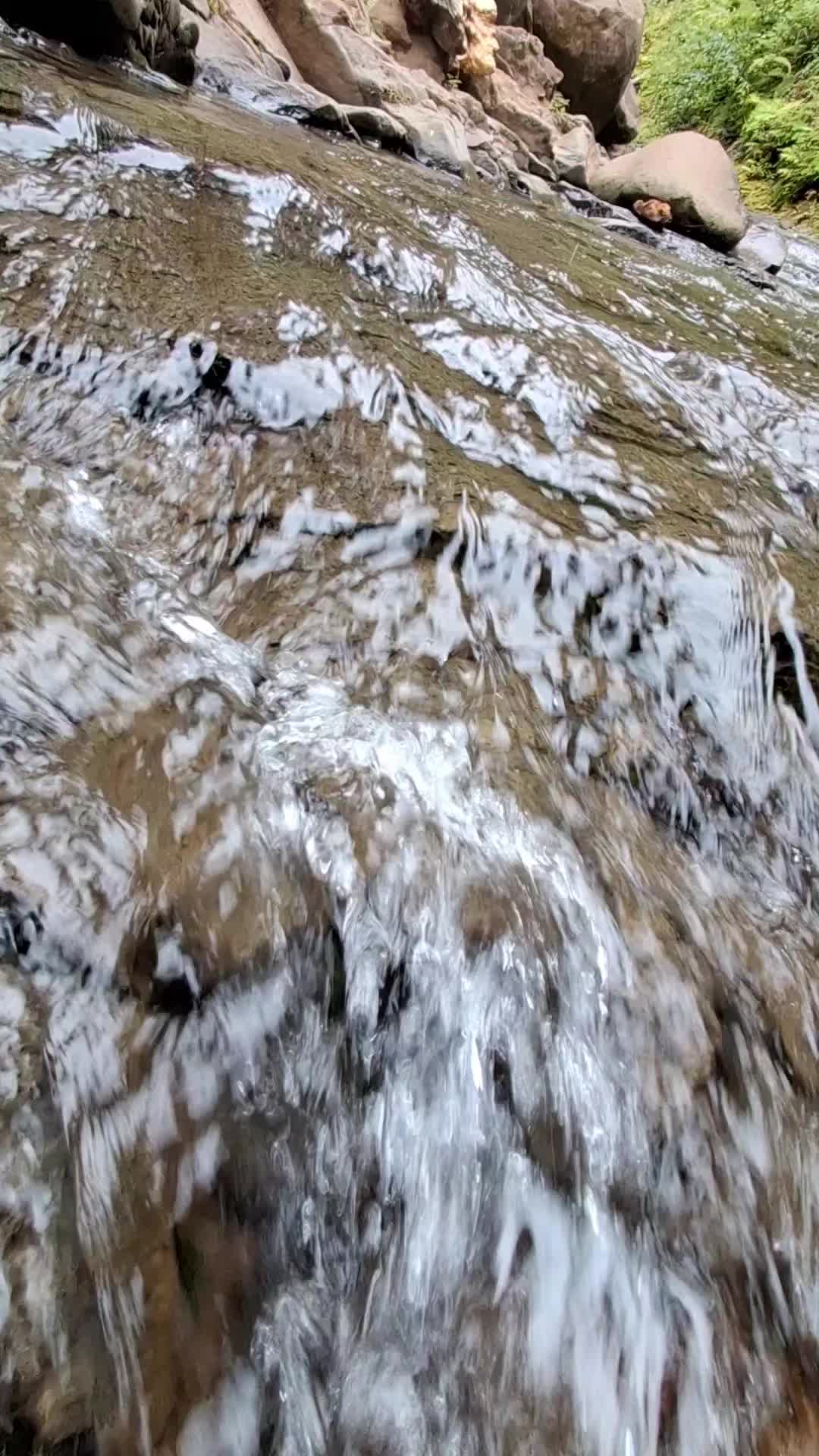 @Dom🇬🇹19