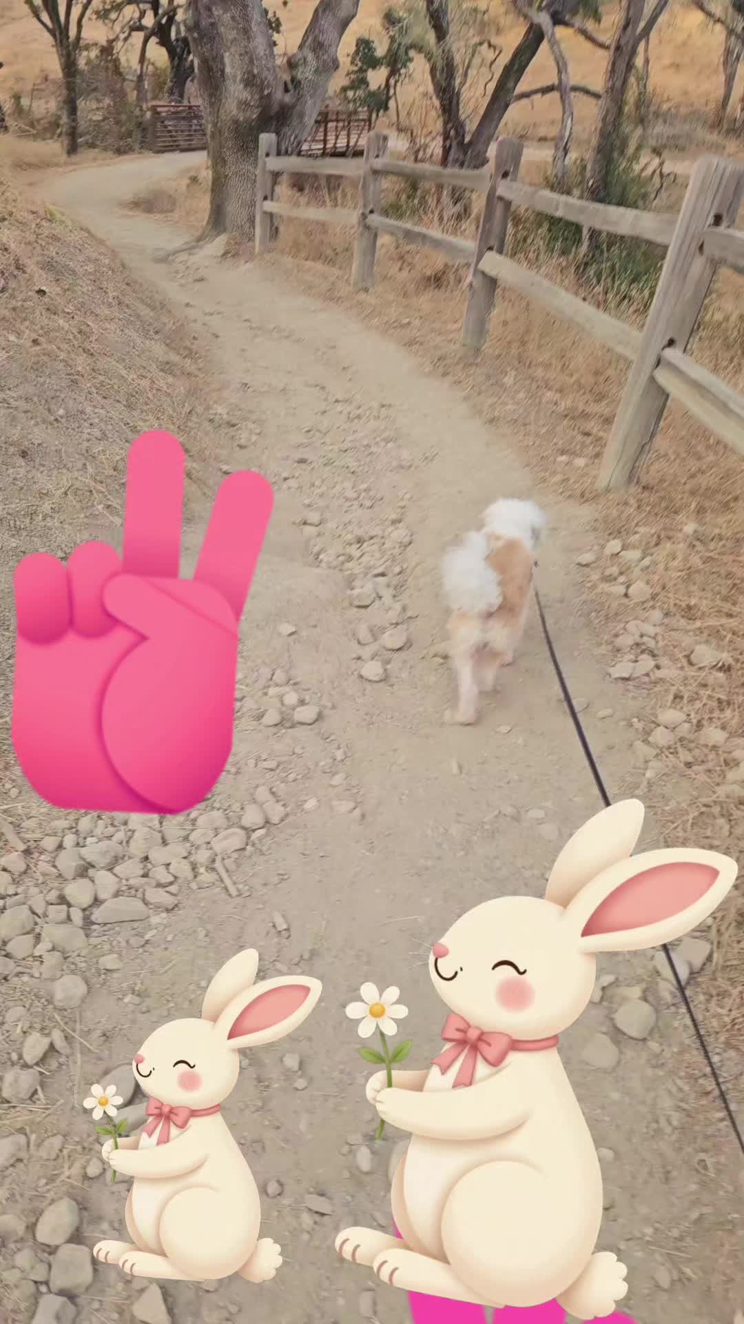@alvarezcat