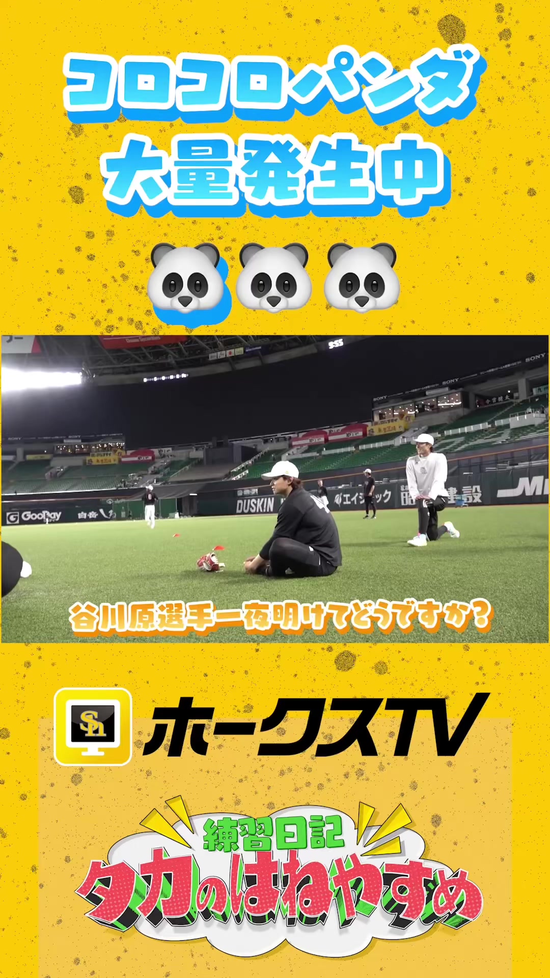 @【公式】福岡ソフトバンクホークス