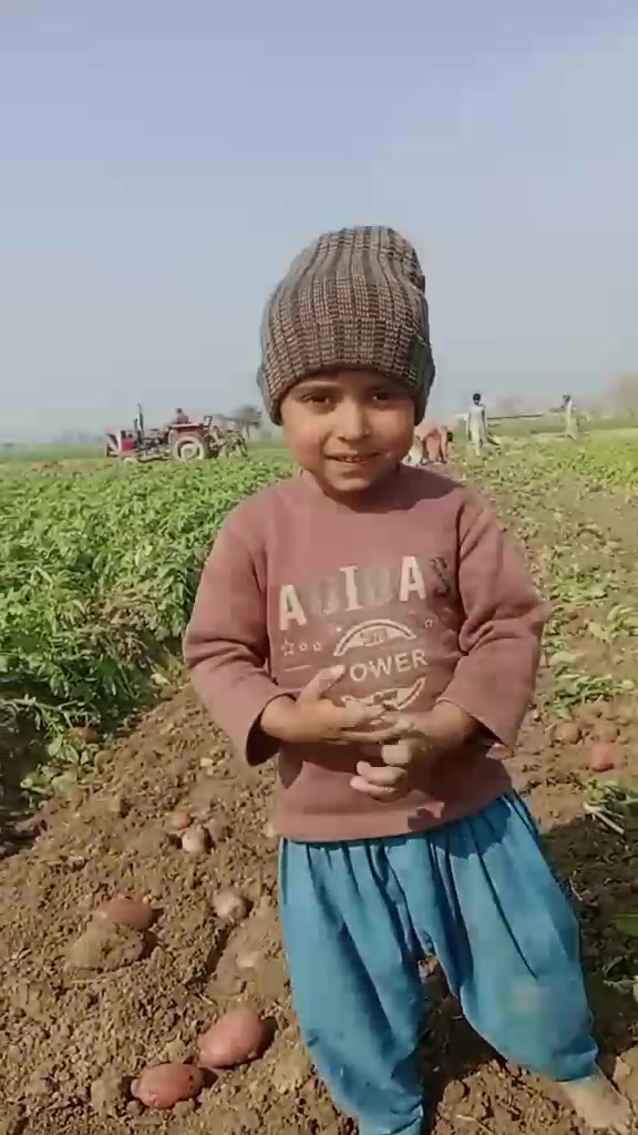 @qalab Abbas 736