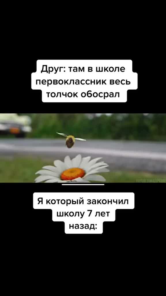 @Bully._0