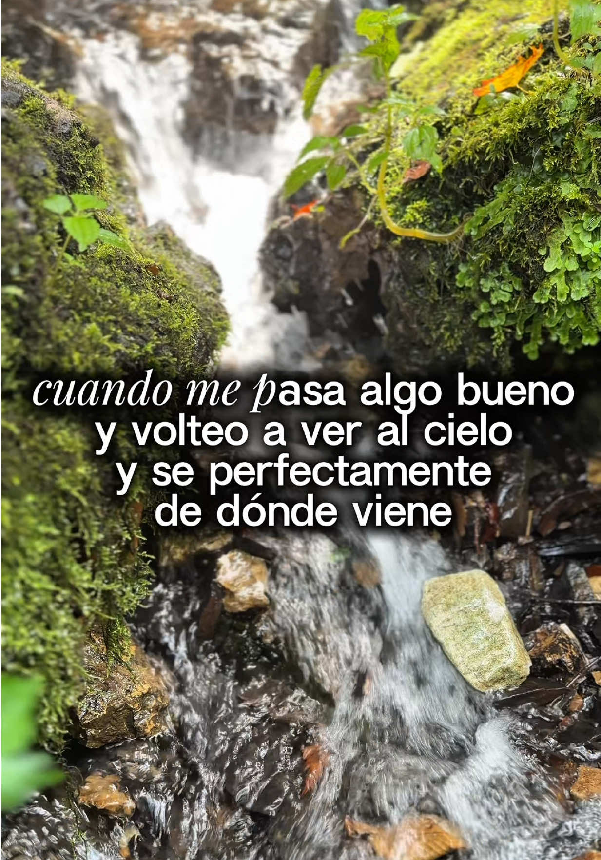 @Denise Pe&ntilde;a