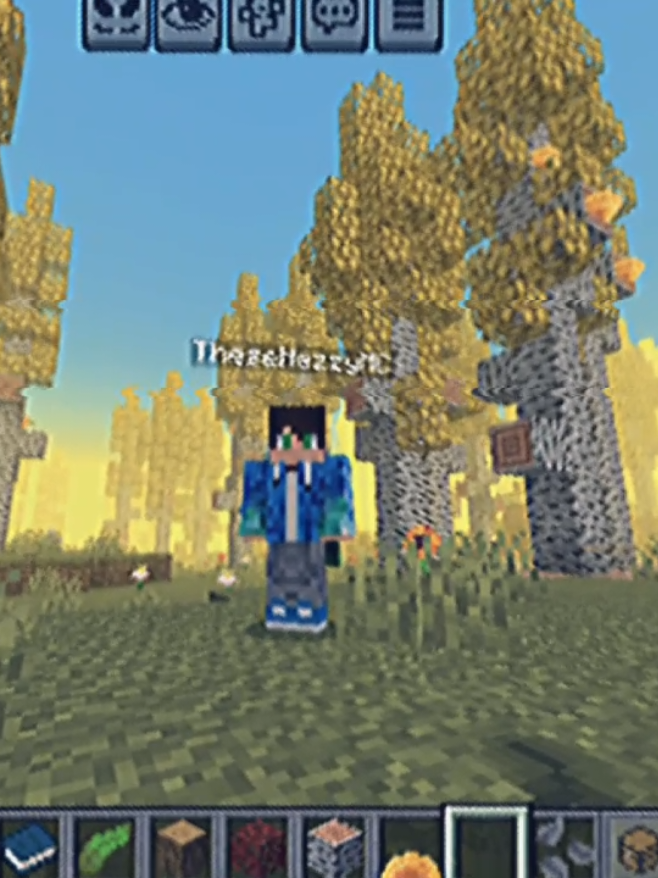 @TheeseCraft12