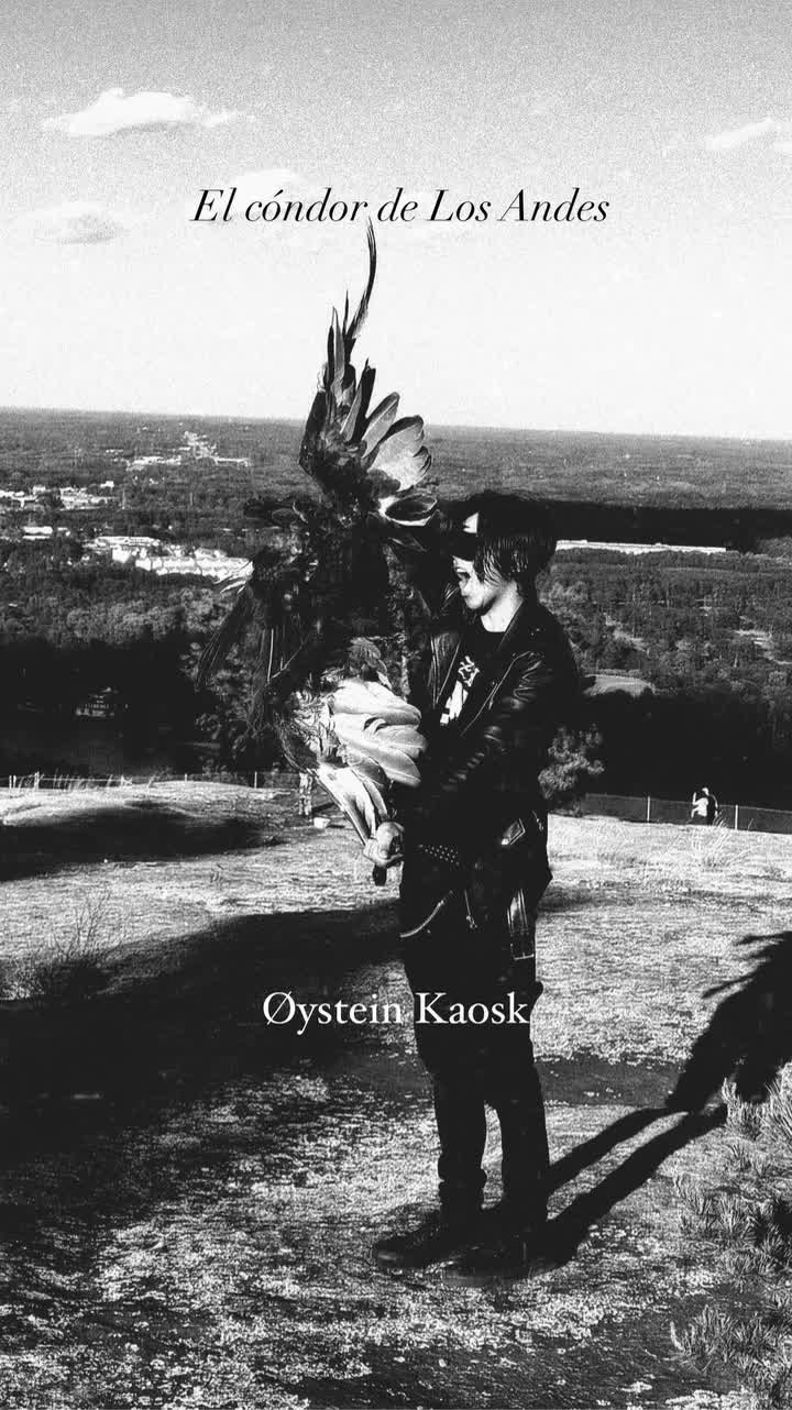 @Øystein Kaosk💿🖤🗡️