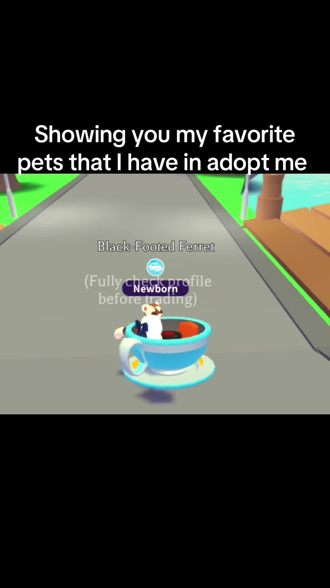 @kn0ck.kn0ck137