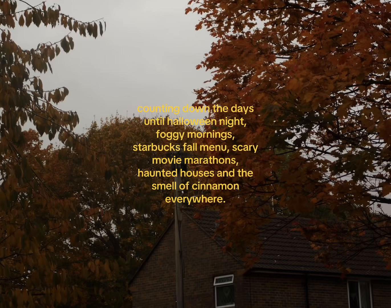 @𝐍𝐎𝐄𝐋𝐋𝐄𝐄.