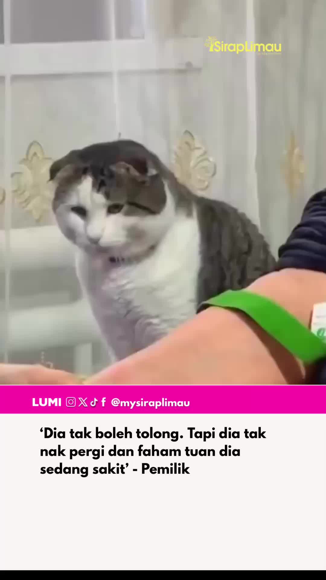 @Sirap Limau Official