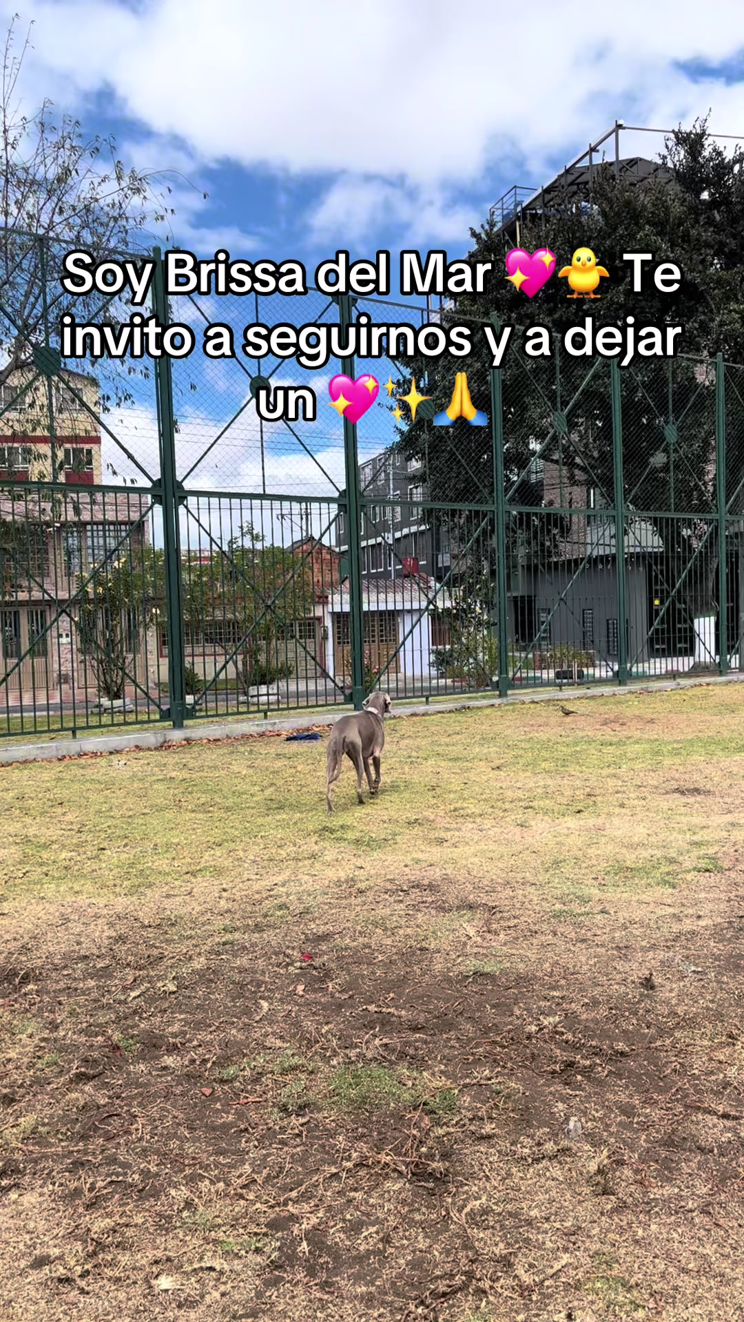 @Adriana L