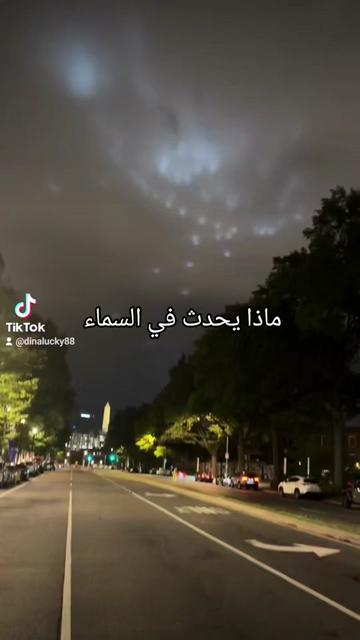 @Dina33953