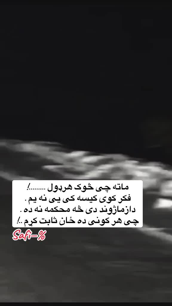 @safi.tg2026