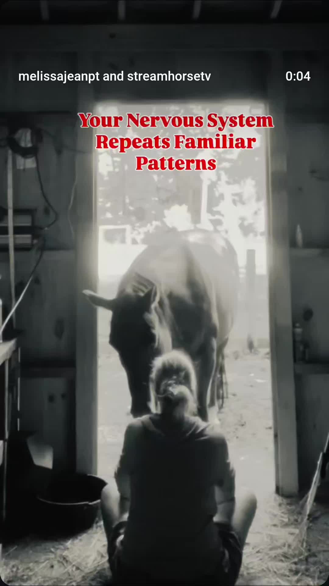 @streamhorse