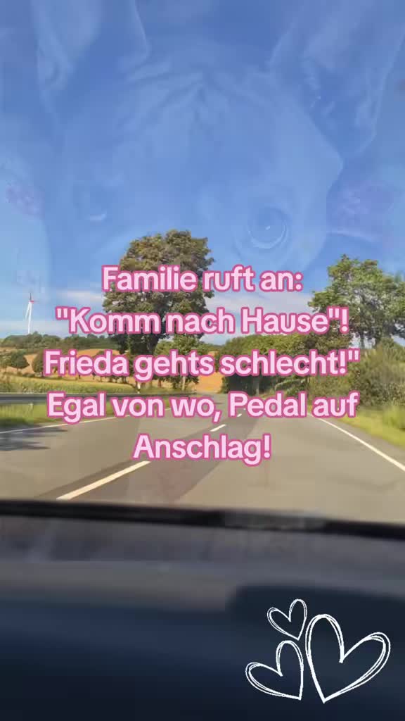@FrenchieFrieda