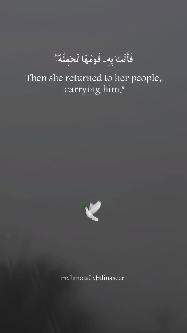@Mahmoud Abdinaseer 🕊