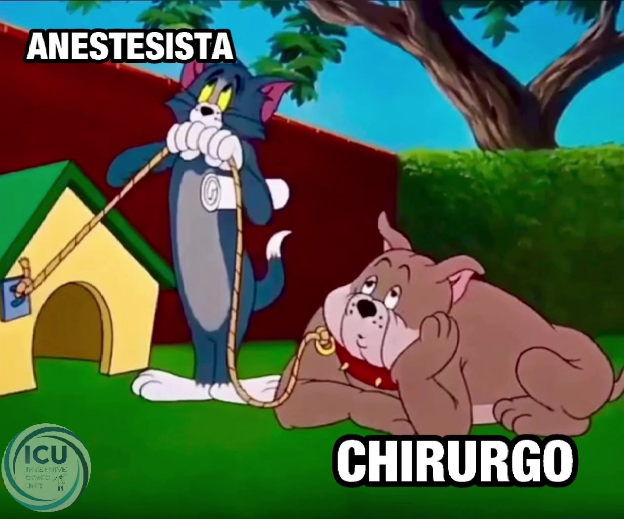 @Icumeme