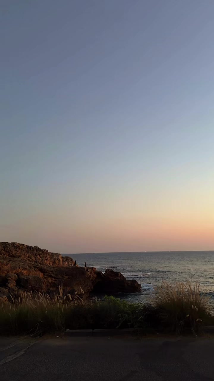 @נאסר נסאר 🦁