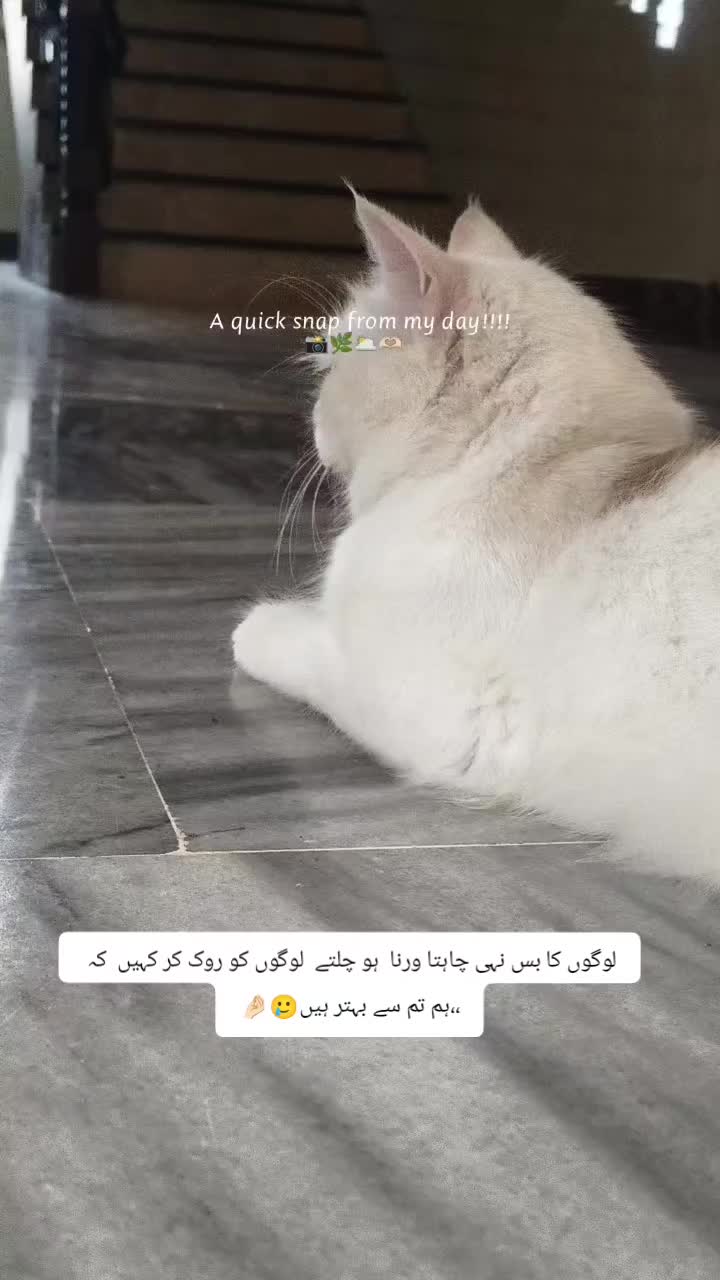 @𝑀𝒶𝒽𝒾𝓇𝒶👑ٔ