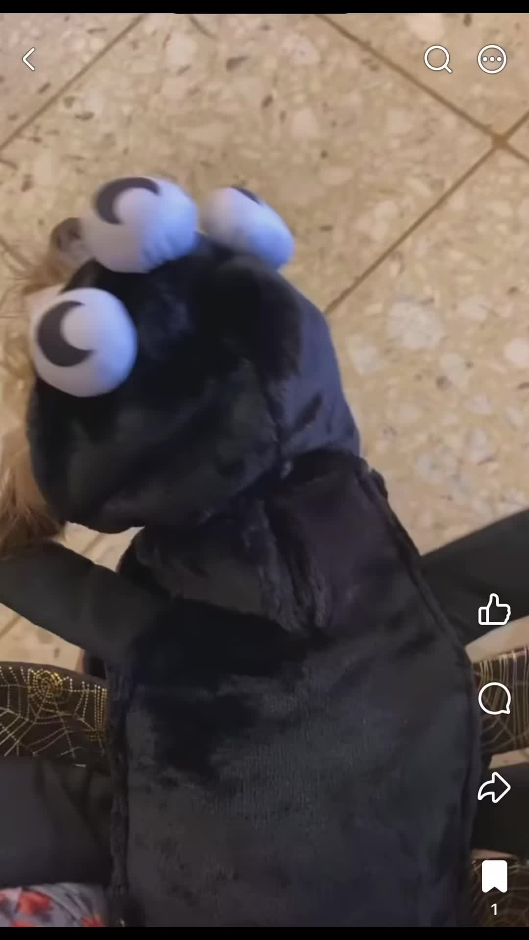 @Adrianna